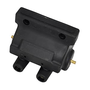 Amazon.com: Jiayicity 12V 5OHM Ignition Coil Dual Fire 31609