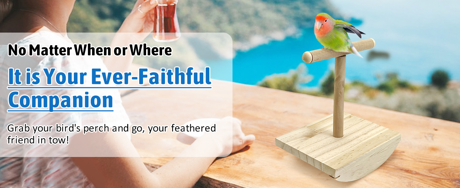 portable brid traning stand