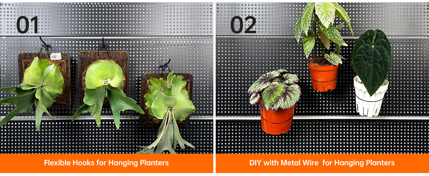 plant shelves with grow lights
