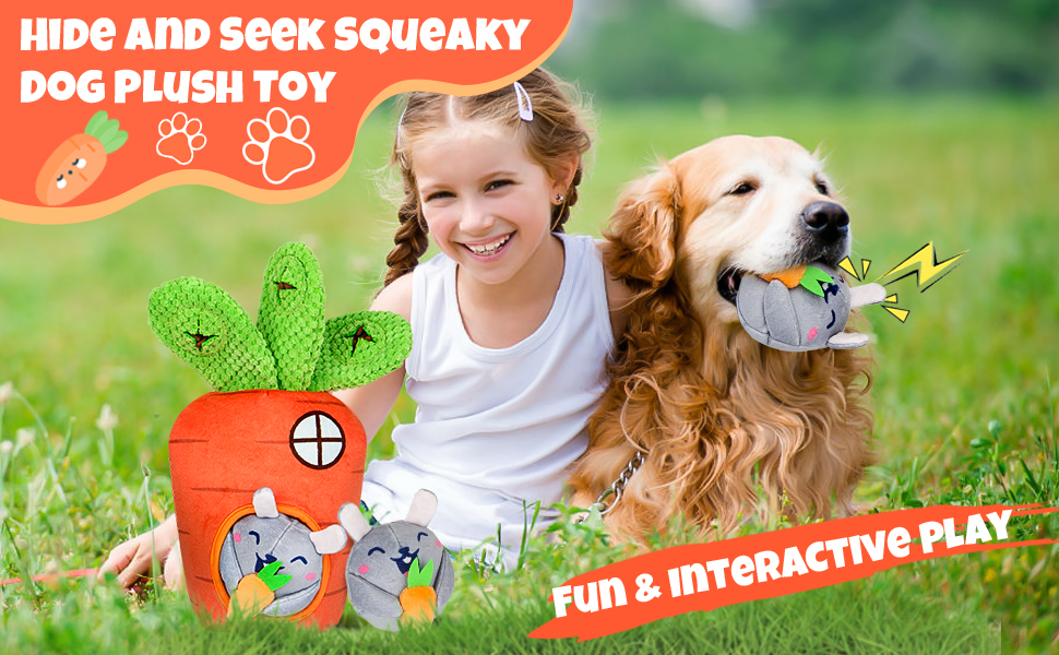 hide and seek dog toy