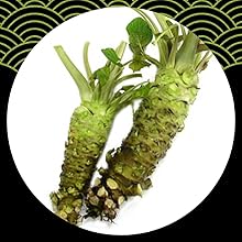 MADE FROM WASABI ROOT