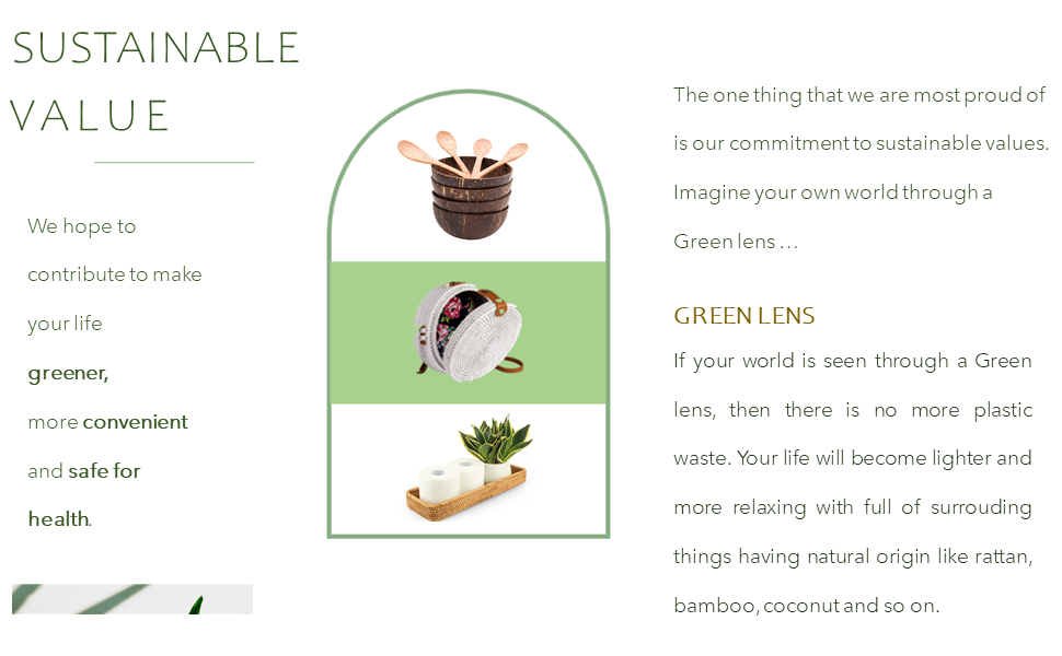 Sustainable Value