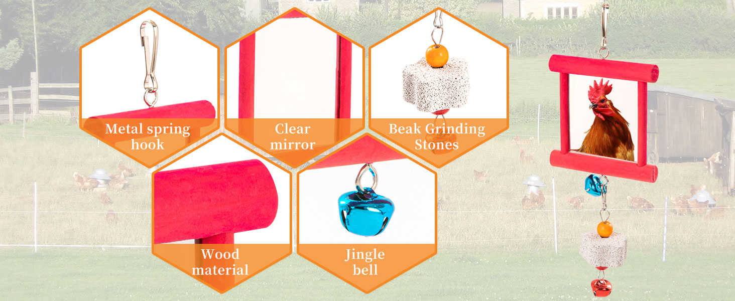 chicken coop toys