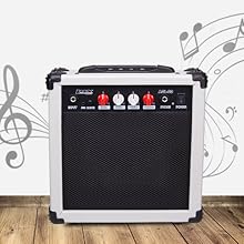amp