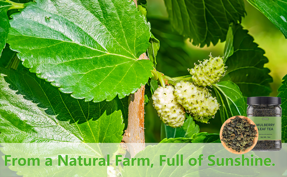 Large manufacture image 1