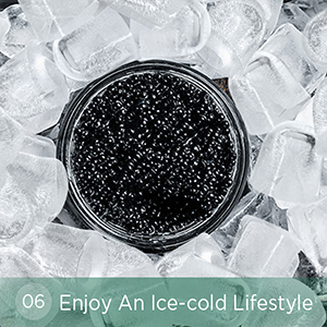 ice maker