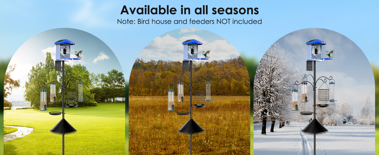 tall bird feeder pole