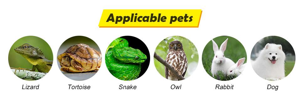 suitable for many pets,Lizard ,beard dragon, turtle,snake ,dog, rabbit,chicks