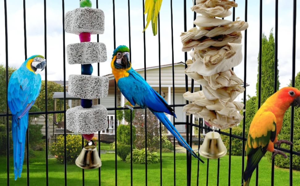parrot cuttlebone chew stone toy