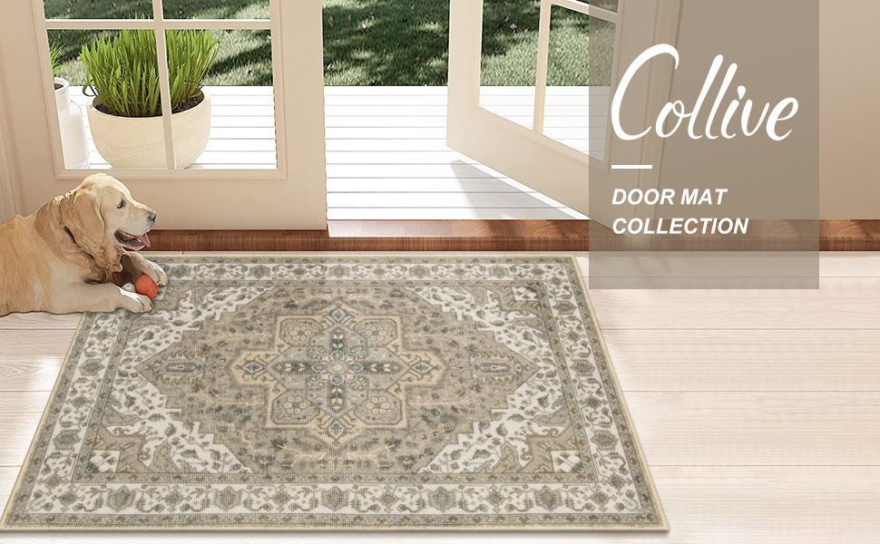 Amazon.com: Collive Washable Indoor Doormat, Non Slip Retro