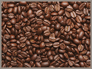 Choosing Coffee Beans