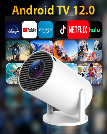 プルオジ エクタ 家庭用