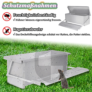 Hühner 