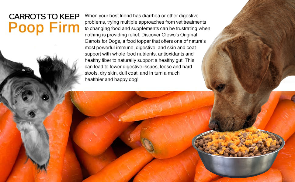 Olewo Dehydrated Carrots AllNatural Relief For Dog Diarrhea, Soft & Hard Poop, Gas & Bloating
