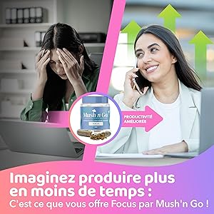 complex hydne hérisson crinière reishi shiitake maitake cordycépine melena leon coriolus