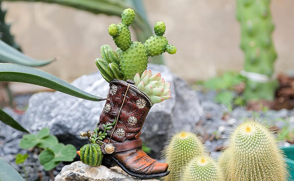 Shoes are like vases, nurturing life, allowing cacti to flourish, and featuring innovative designs.