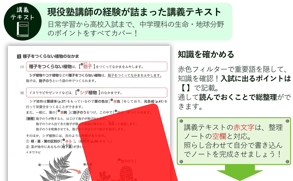 二段目_商品紹介2