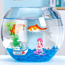 Aquarium Glass Fish Bowl 