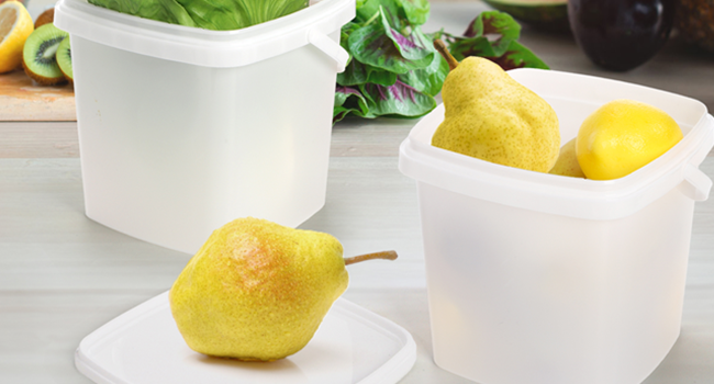 Ice Cream Container with Handle