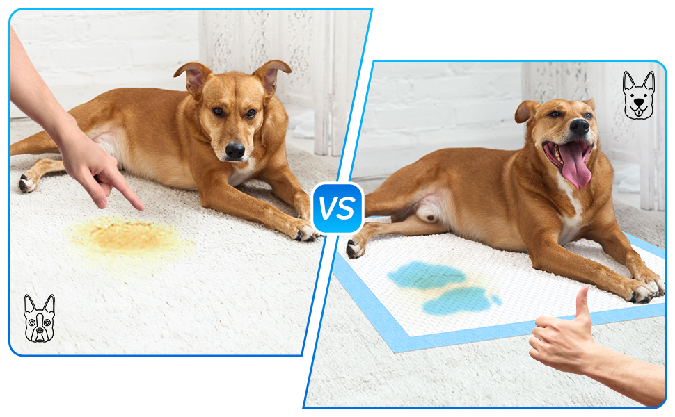 Dog Pee Pads Extra Large Puppy Pads 30" X 36 " Potty