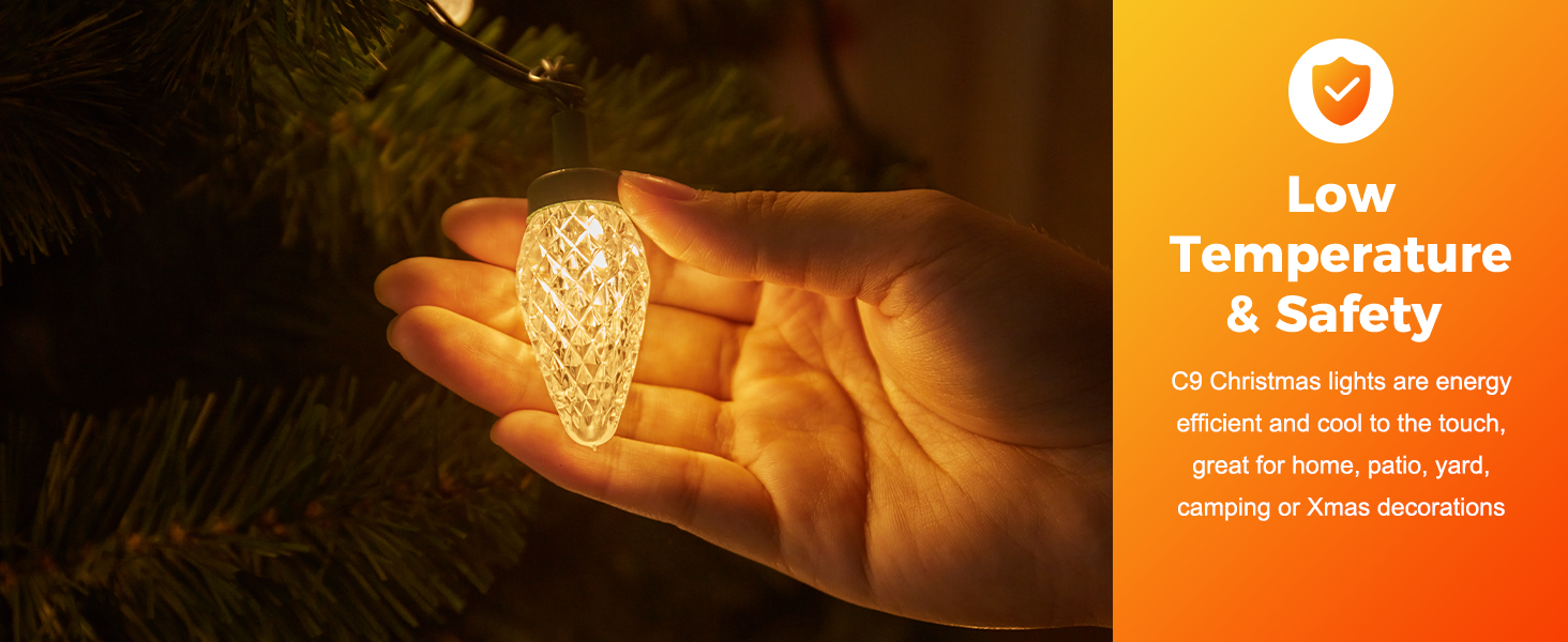 outdoor christmas lights for house