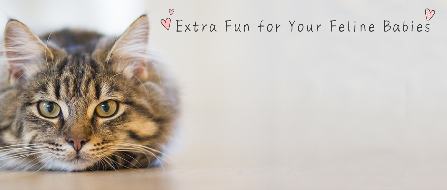 Interactive Cat Toy
