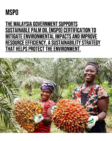 big soap,All-natural soap