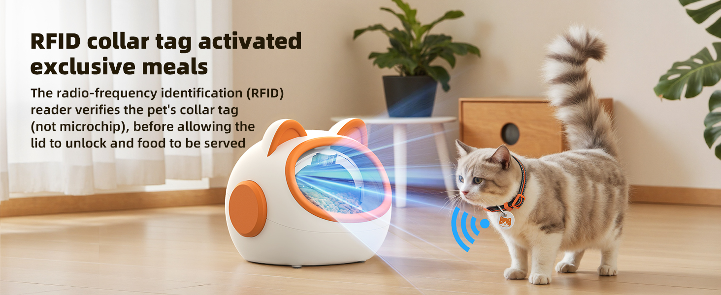 automatic cat feeder with collar sensor
