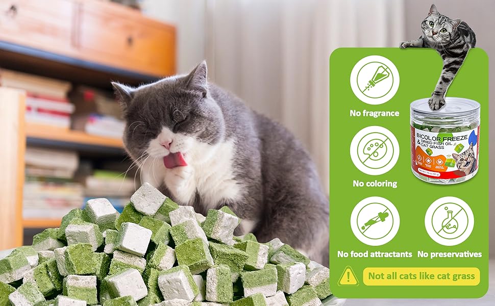 Cats Natural Feeding