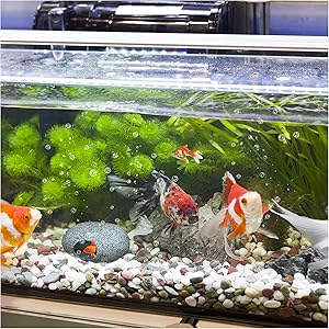Amazon | KEWAYO 水槽 オブジェ 水槽飾り 水槽内アクセサリー