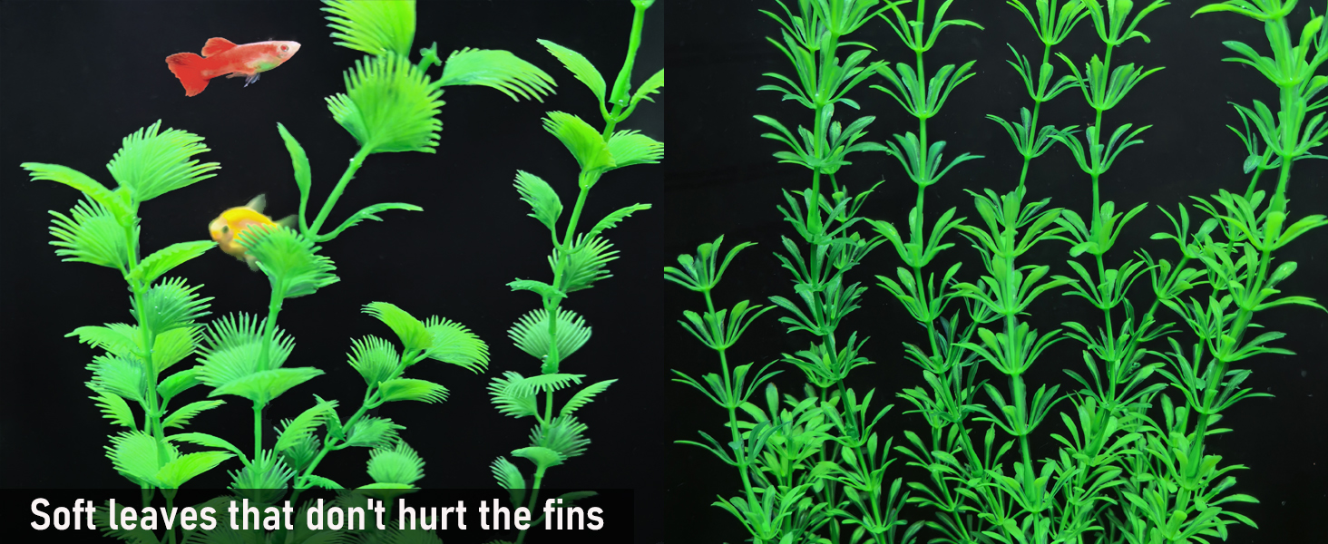 fish tank plants