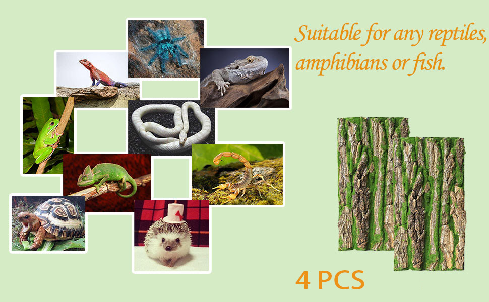 PINVNBY Reptile Terrarium Cork Background, Bearded Dragon Tank Bark Backdrop Wall