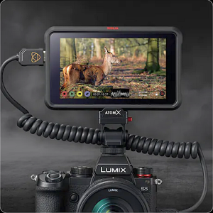 Lumix S5 with 20-60mm Lens