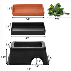 S-ReptileHideBox.PT03