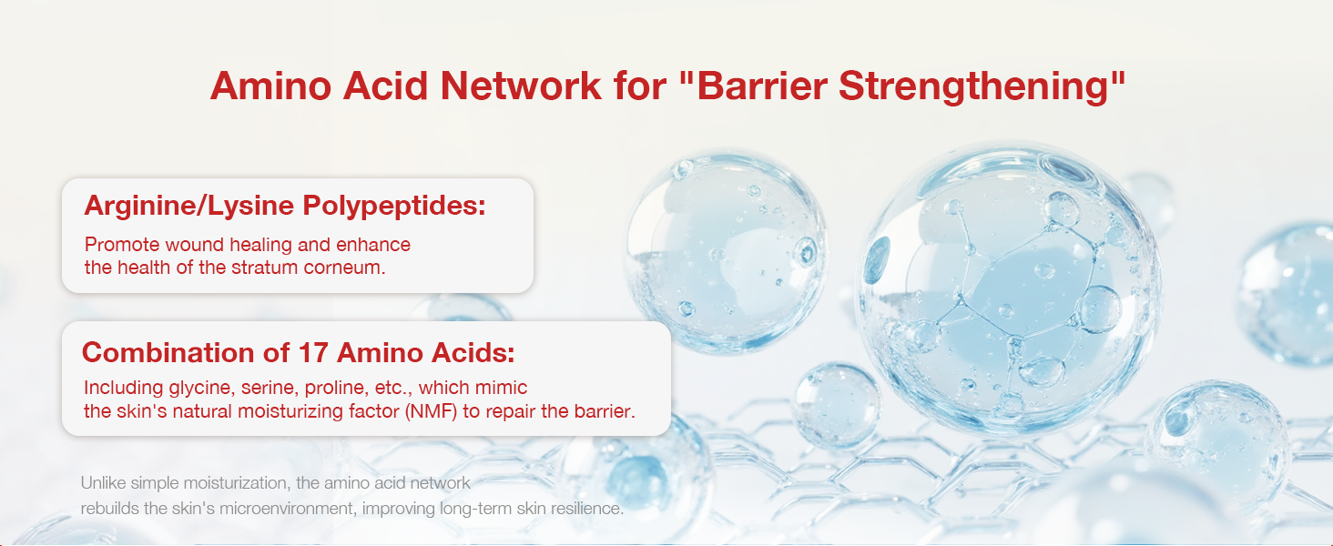 Amino Acid Network