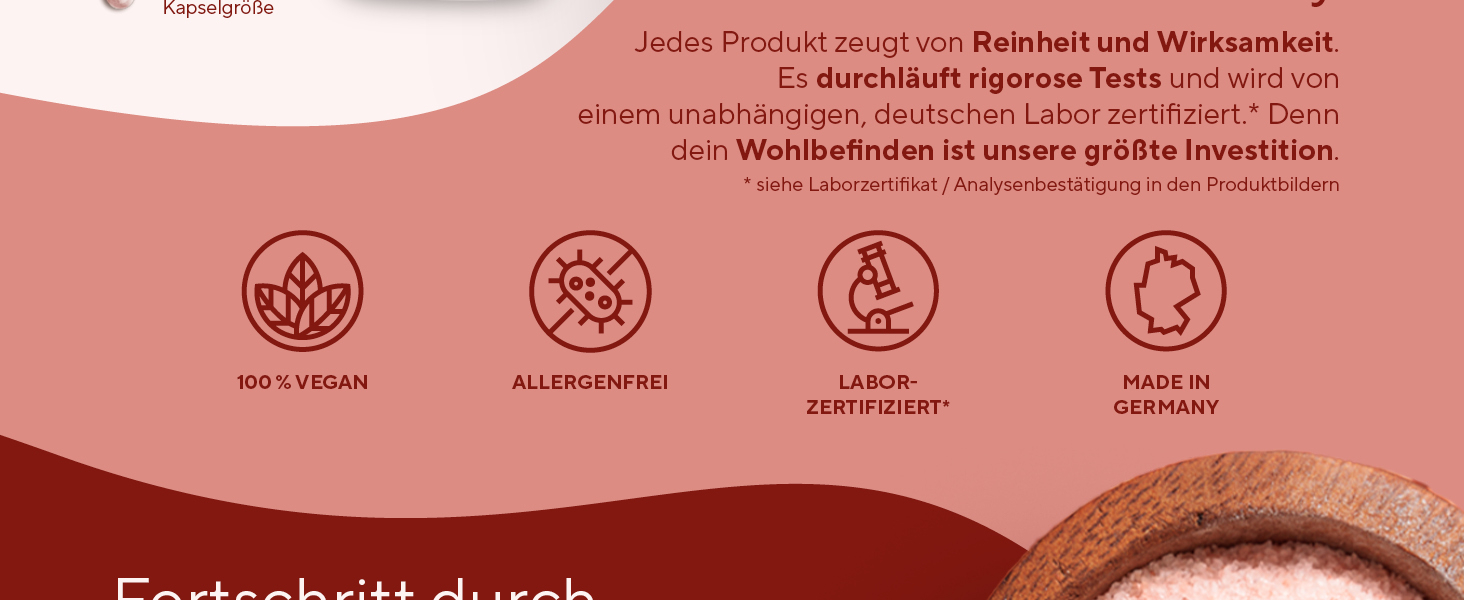 pqq kapseln hochdosiert pqq 20mg pqq hochdosiert bio Nerven Gehirn Anti-Aging Zellenergie Zellen