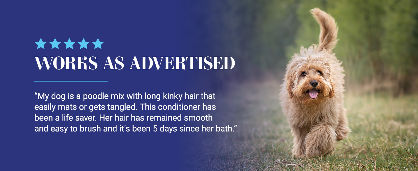 Chris Christensen Ice on Ice Dog Detangling Conditioner review - 5 stars from my Doodle