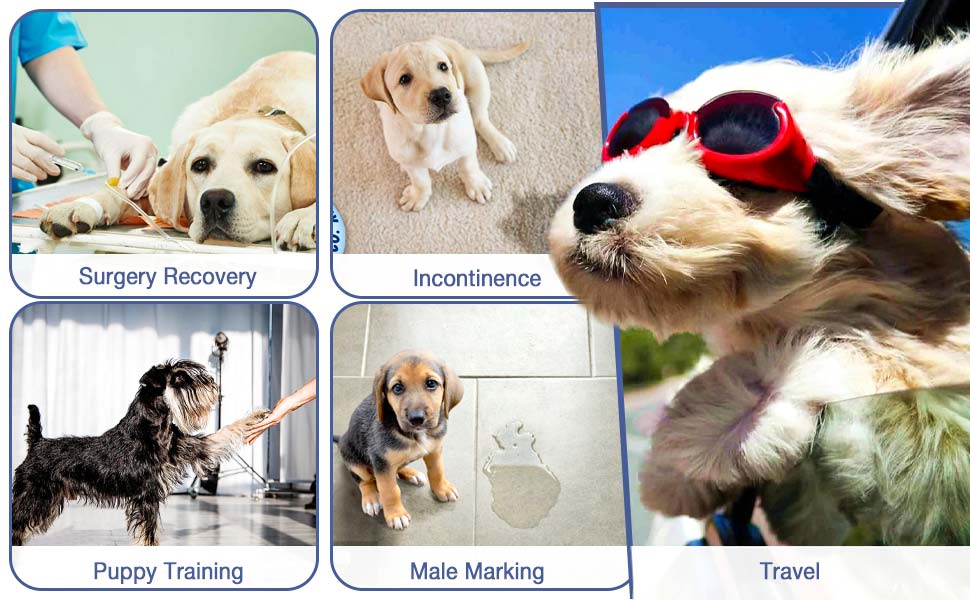 Large manufacture image 6