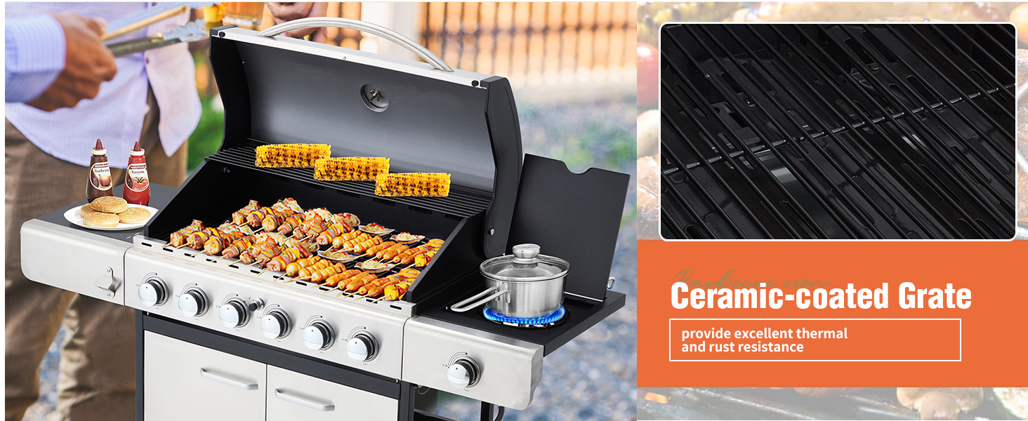6 Burner BBQ Propane Gas Grill