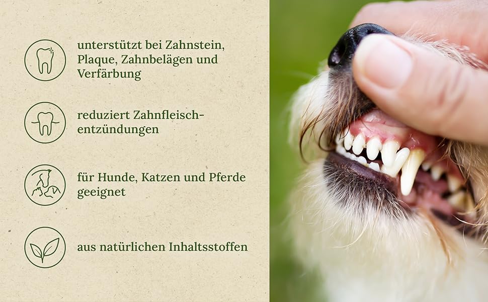Zahnpflegepulver - fördert die Mundhygiene deines Haustiers