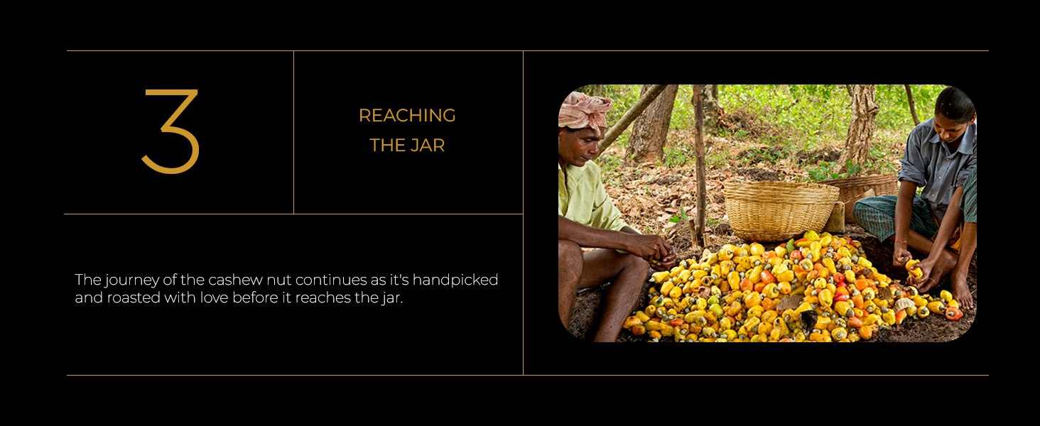 goan cashew nuts with skin