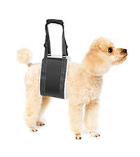 tragehilfe hund treppe