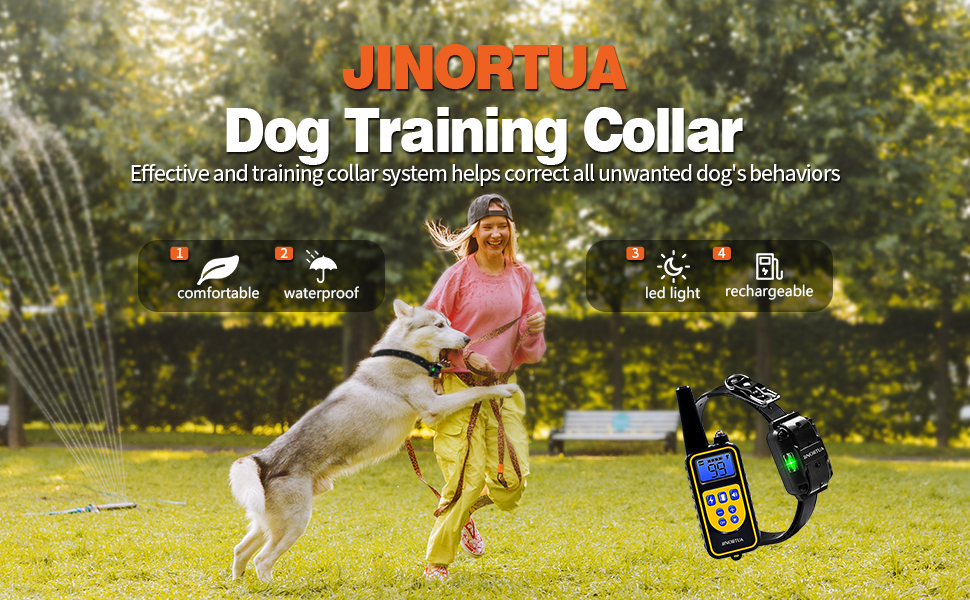 dog training collar
