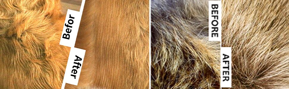 Cat Brush for Shedding