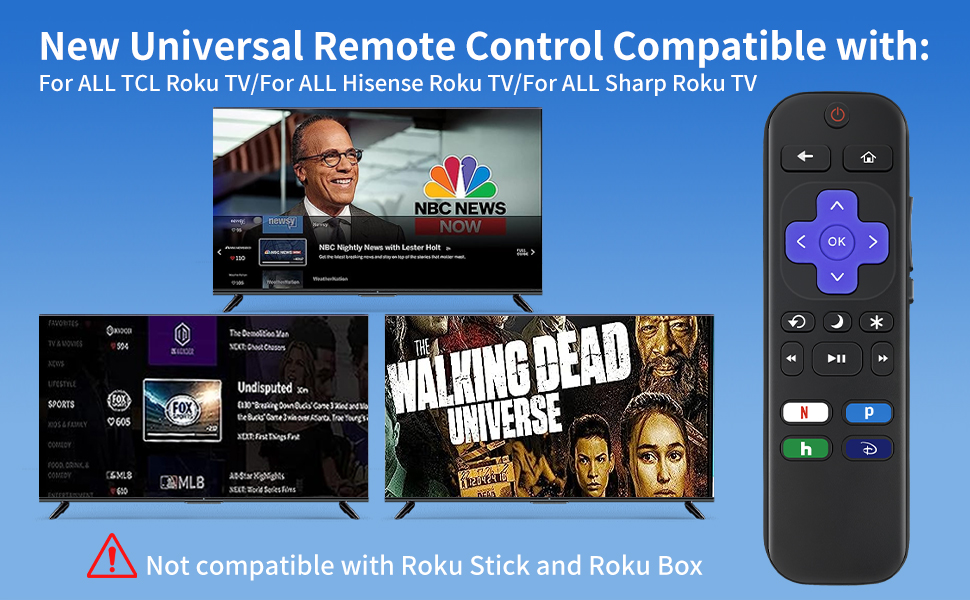 ruko remote replacement