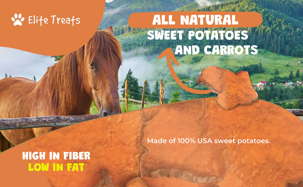 horse supplies clearance, cheap horse treats, horse treats bulk