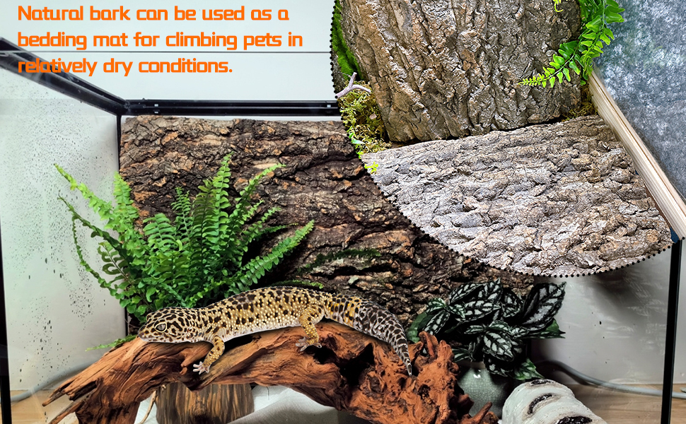 Cork Terrarium Background