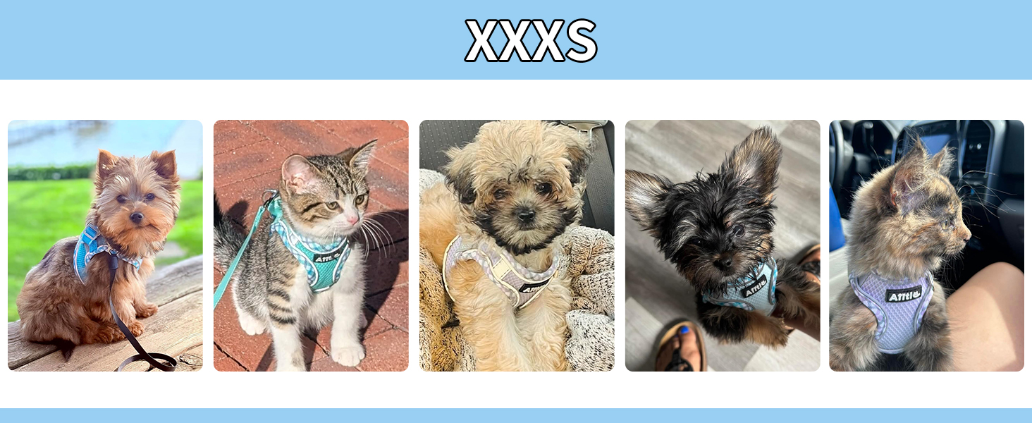 AIITLE Teacup Puppy Harness with Leash - Adjustable Soft Vest with Magic Velcro