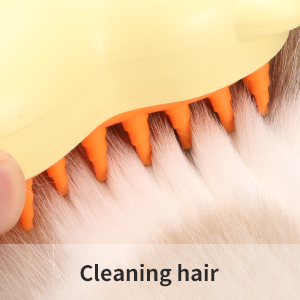 cat steam brush