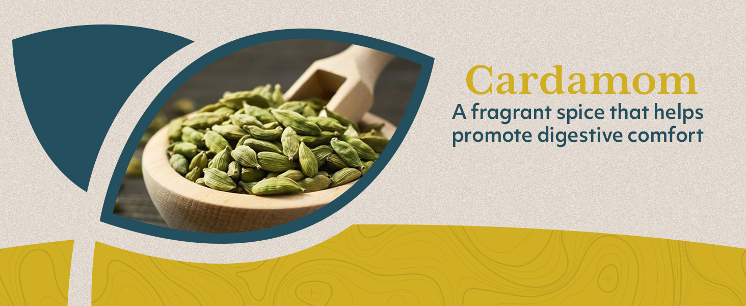 relief ringing ears zinc supplements bromelain attack naturals health oscillococcinum elderberry